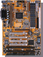 M6TLC